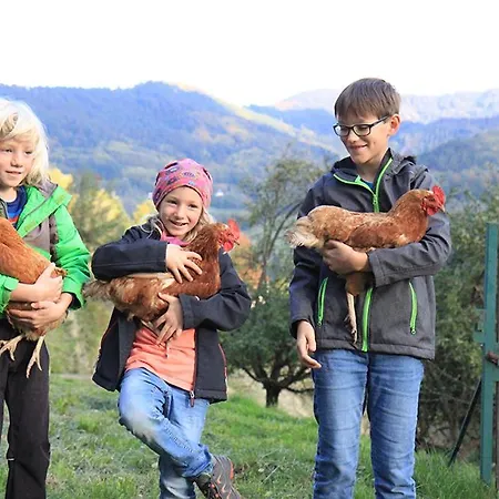 Apartamento Huber Xaveri - Hof Ottenhofen im Schwarzwald