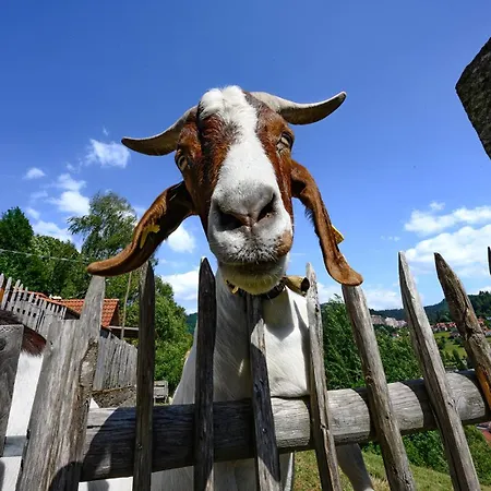 Huber Xaveri - Hof דירה *