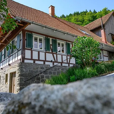 Huber Xaveri - Hof Apartment Ottenhöfen im Schwarzwald