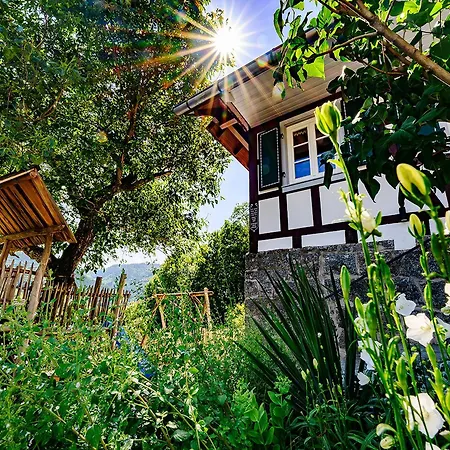 Huber Xaveri - Hof *