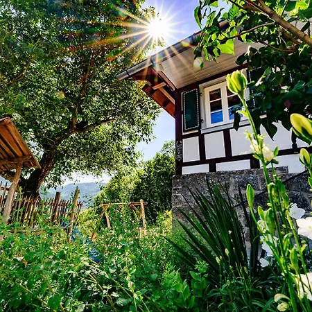 Huber Xaveri - Hof Apartamento Ottenhofen im Schwarzwald